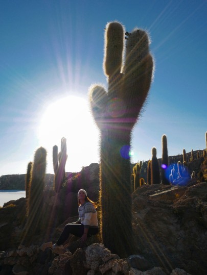 Cactus géant salar d'uyuni Bolivie